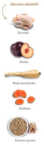 Amanova Dog Adult Medium Exquisite Chicken - kurczak 12kg