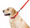 Collar Waterproof Smycz wodoodporna M 20mm/183cm czerwona