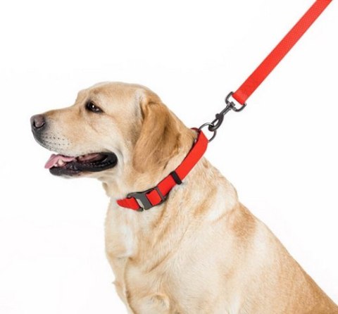 Collar Waterproof Smycz wodoodporna M 20mm/183cm czerwona