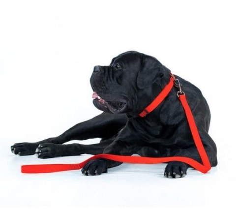 Collar Waterproof Smycz wodoodporna M 20mm/183cm czerwona