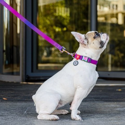 Collar WauDog Recycled Obroża nylonowa z QR-paszportem, gradient S 15mm/25-35cm fioletowy