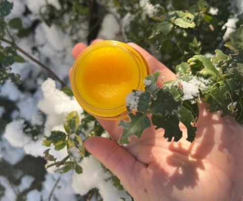 Francodex Biodene Balsam regenerujący i nawilżający dla zwierząt 50ml