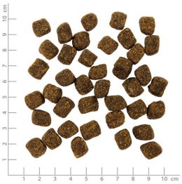 Wolfsblut Dog VetLine Snack Hypoallergenic - konina i bataty 100g