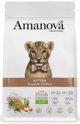 Amanova Cat Kitten Exquisite Chicken - kurczak 4kg