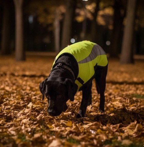 Zolux Kamizelka odblaskowa R.45 żółta