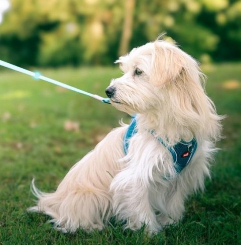 Zolux Szelki oddychające z siatki XL granatowe