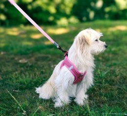 Zolux Szelki oddychające z siatki XS granatowe