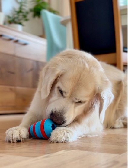 Zolux Zabawka na przysmaki gryzak stożek 10cm