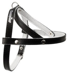 Champion Szelki 40 czarne [SD]