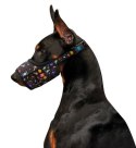 Collar WauDog Nylon Kaganiec, plastikowy fastex, wzór NASA, rozmiar 1 [14-20cm]
