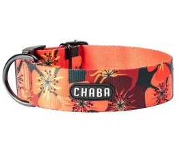 CHABA Obroża regulowana Bull Story IV M/L Opium