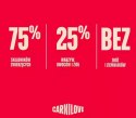 Carnilove Cat Active Lamb & Wild Boar Sterilised - jagnięcina i dzik 400g