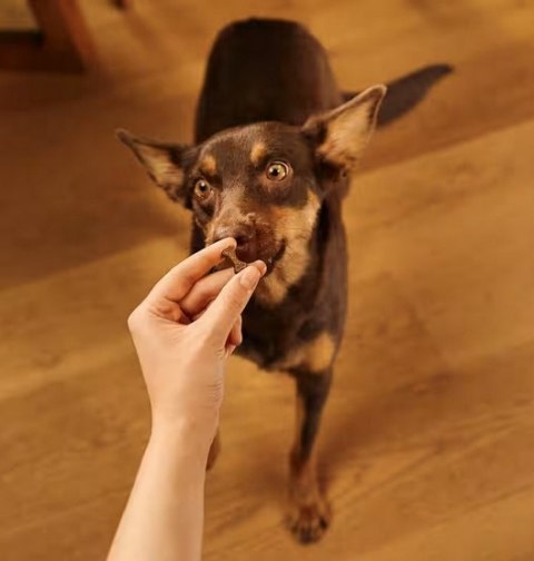 Carnilove Dog Soft Snack Duck 200g