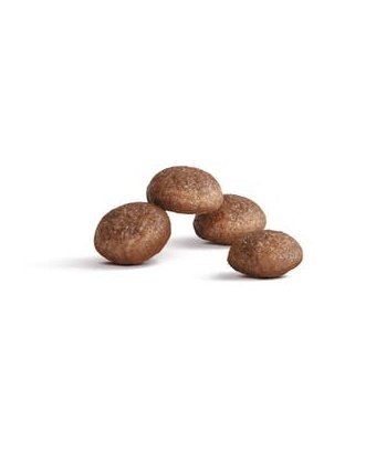 Royal Canin Ageing +11 karma sucha dla kotów dojrzałych 2kg