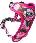 CHABA Szelki Guard Comfort bezuciskowe Story IV M Peony