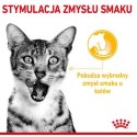 Royal Canin Sensory Taste w sosie karma mokra dla kotów dorosłych saszetka 85g