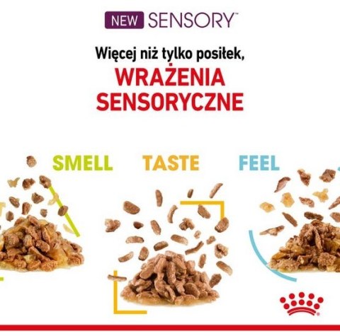Royal Canin Sensory Taste w sosie karma mokra dla kotów dorosłych saszetka 85g