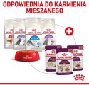 Royal Canin Sensory Taste w sosie karma mokra dla kotów dorosłych saszetka 85g