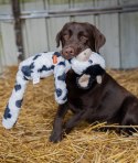 Zolux Zabawka pluszowa Furry Farm Krowa Isache 60cm