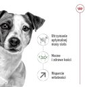 Royal Canin Mini Adult 8+ karma sucha dla psów starszych od 8 do 12 roku życia, ras małych 800g