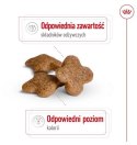 Royal Canin Mini Adult 8+ karma sucha dla psów starszych od 8 do 12 roku życia, ras małych 800g