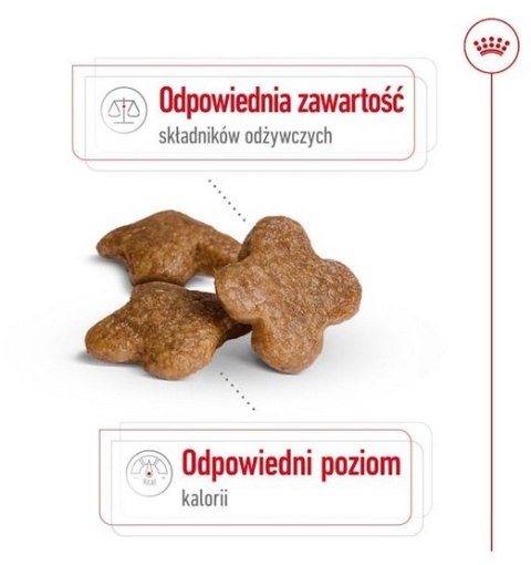 Royal Canin Mini Adult 8+ karma sucha dla psów starszych od 8 do 12 roku życia, ras małych 800g