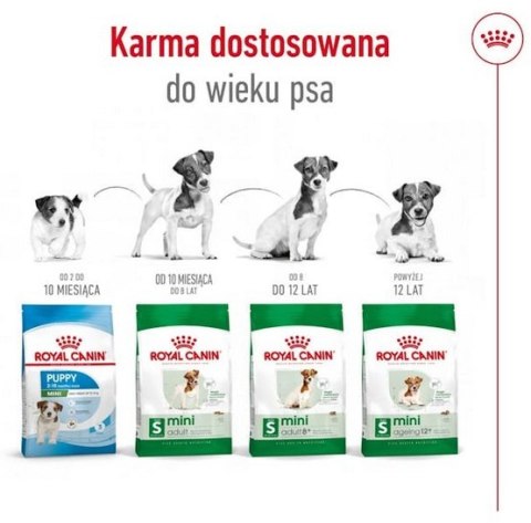 Royal Canin Mini Adult 8+ karma sucha dla psów starszych od 8 do 12 roku życia, ras małych 800g