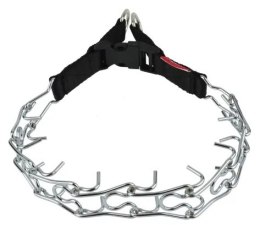 Champion Kolczatka [2T]