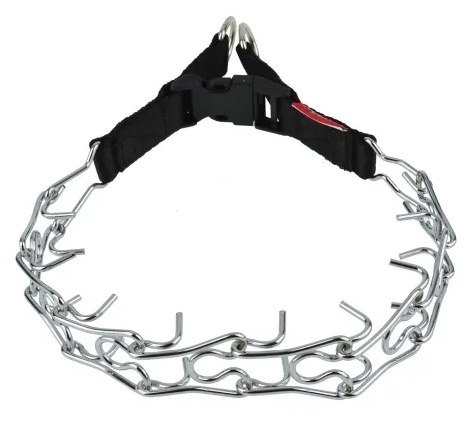 Champion Kolczatka [2T]