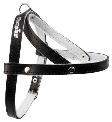 Champion Szelki 50 czarne [SD]