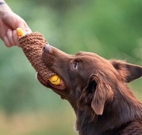 Dingo Zabawka dla psa - Taco 20cm