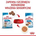 Royal Canin Medium Puppy karma mokra w sosie dla szczeniąt, od 2 do 12 miesiąca, ras średnich 140g