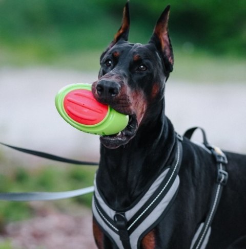 Dingo Zabawka dla psa - Guma TPR - Rugby Dent 17cm