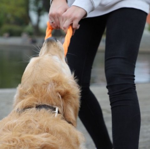 Dingo Zabawka dla psa - Ringo zaplatane Energy 18cm czerwone