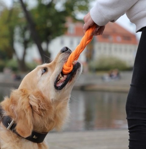 Dingo Zabawka dla psa - Ringo zaplatane Energy 18cm pomarańczowe