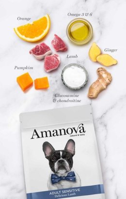 Amanova Dog Adult Sensitive Delicious Lamb - jagnięcina 2kg