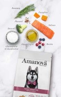Amanova Dog Adult Sensitive Salmon Deluxe - łosoś 10kg