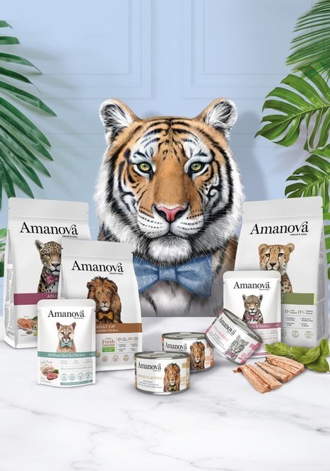 Amanova Cat Chicken & Cheese - kurczak i ser w bulionie puszka 70g [02]