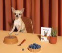 Amanova Dog Adult Exquisite Chicken - kurczak saszetka 100g [P03]