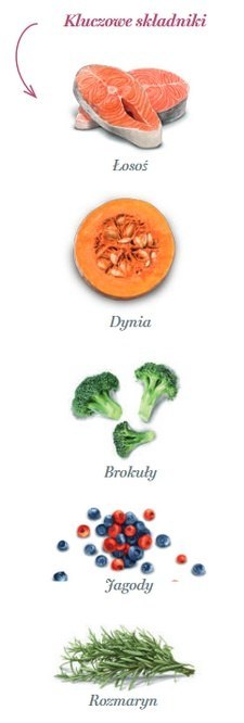 Amanova Dog Adult Mini Sensitive Salmon Deluxe - łosoś 2kg