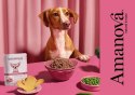 Amanova Dog Adult Tasty Salmon & Turkey - łosoś i indyk saszetka 300g [P06]