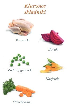 Amanova Dog Puppy Exquisite Chicken - kurczak saszetka 300g [P08]