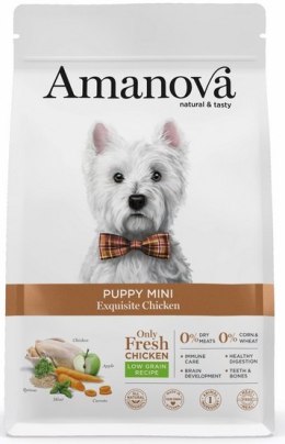 Amanova Dog Puppy Mini Exquisite Chicken - kurczak 2kg