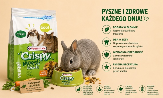 Co powinien jeść królik domowy?